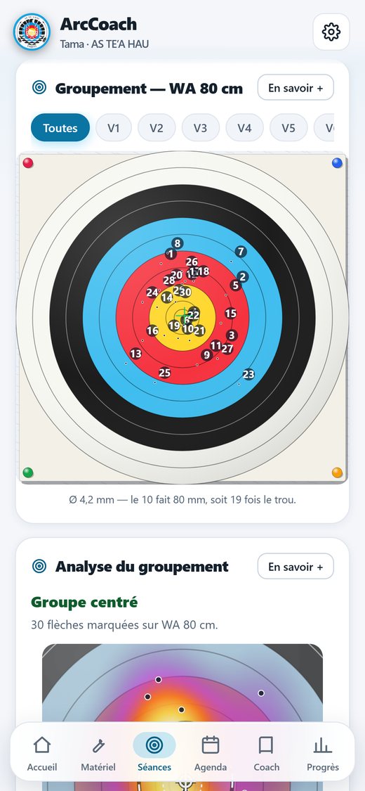 Blason de 80&nbsp;cm sur lequel les 30 flèches d'une séance sont pointées et numérotées, avec un filtre par volée.